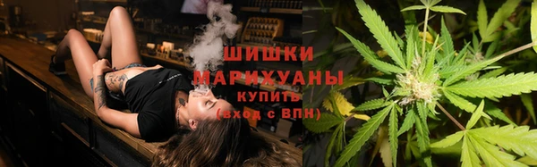 шишки Лабытнанги