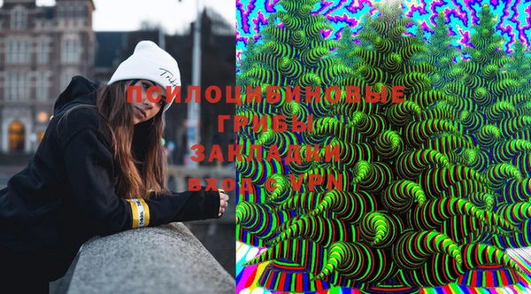 ГАЛЛЮЦИНОГЕННЫЕ ГРИБЫ Лагань