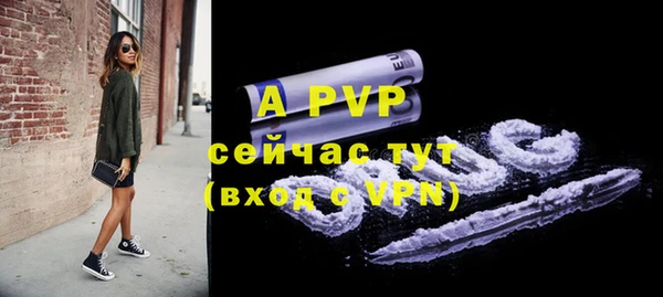ГАЛЛЮЦИНОГЕННЫЕ ГРИБЫ Лагань