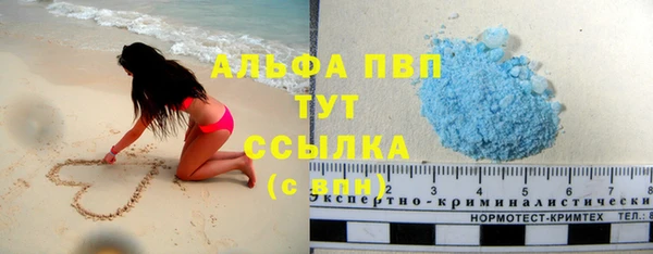 ГАЛЛЮЦИНОГЕННЫЕ ГРИБЫ Лагань