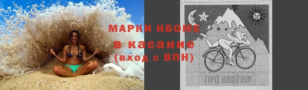 ГАЛЛЮЦИНОГЕННЫЕ ГРИБЫ Лагань