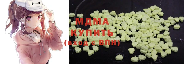 шишки Лабытнанги