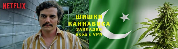 шишки Лабытнанги