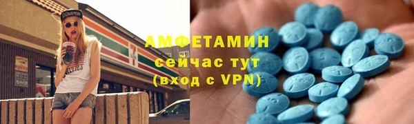 шишки Лабытнанги