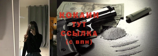 ГАЛЛЮЦИНОГЕННЫЕ ГРИБЫ Лагань