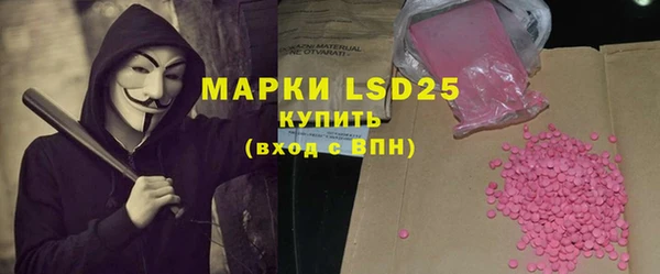 шишки Лабытнанги