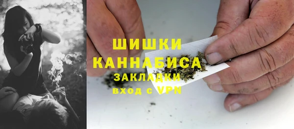 шишки Лабытнанги