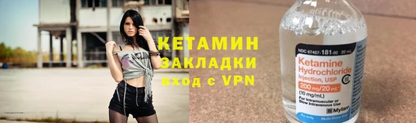 шишки Лабытнанги