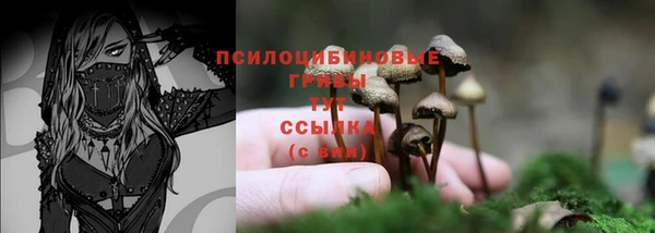 не бодяженный Ладушкин