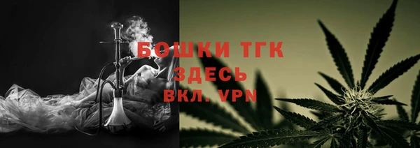 ГАЛЛЮЦИНОГЕННЫЕ ГРИБЫ Лагань
