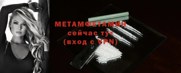 ГАЛЛЮЦИНОГЕННЫЕ ГРИБЫ Лагань