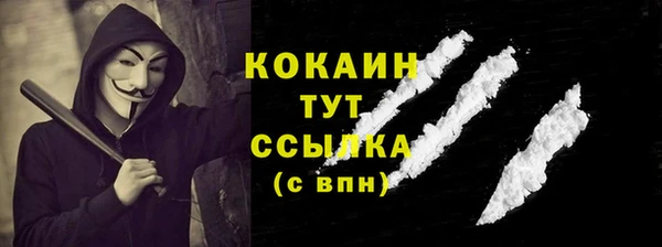 ГАЛЛЮЦИНОГЕННЫЕ ГРИБЫ Лагань