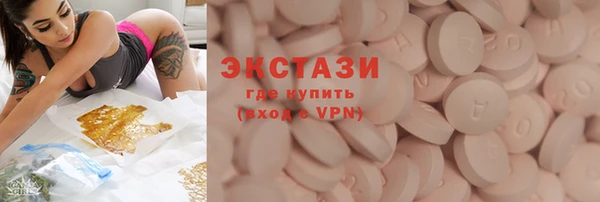 шишки Лабытнанги