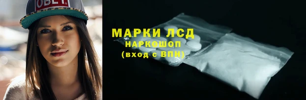 ГАЛЛЮЦИНОГЕННЫЕ ГРИБЫ Лагань