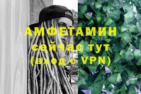 шишки Лабытнанги