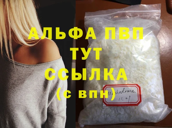 шишки Лабытнанги