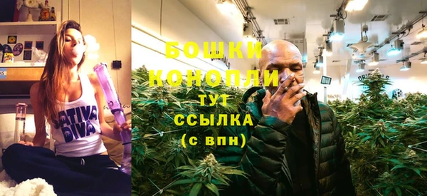 не бодяженный Ладушкин