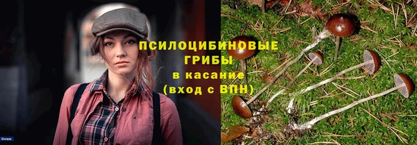 ГАЛЛЮЦИНОГЕННЫЕ ГРИБЫ Лагань