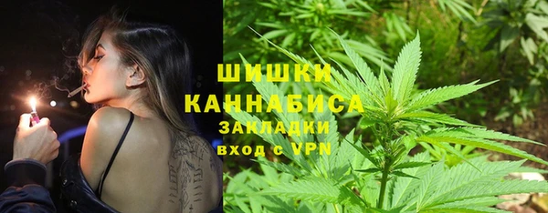 не бодяженный Ладушкин