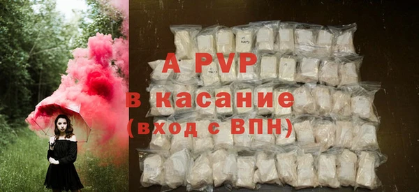 шишки Лабытнанги