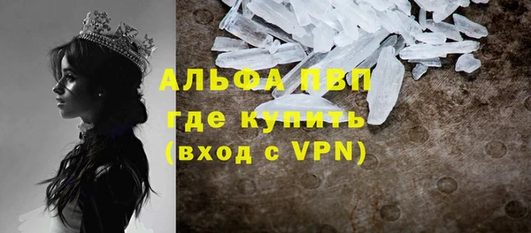 не бодяженный Ладушкин