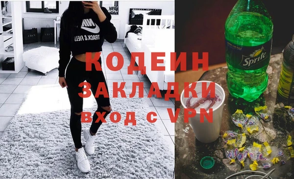 шишки Лабытнанги
