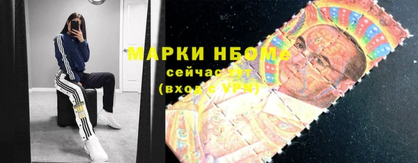 шишки Лабытнанги