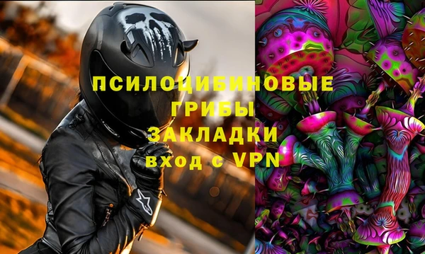 не бодяженный Ладушкин