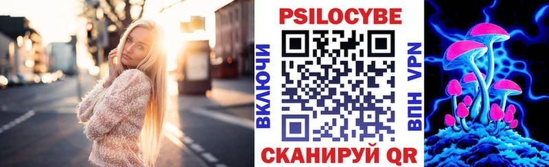 Купить  Гусев  Псилоцибиновые грибы Psilocybe 